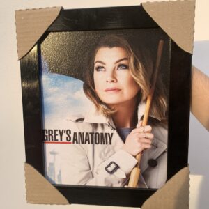 Grey’s Anatomy (Quadro)
