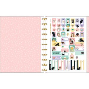 caderno inteligente tilidisco 10 materias gatos
