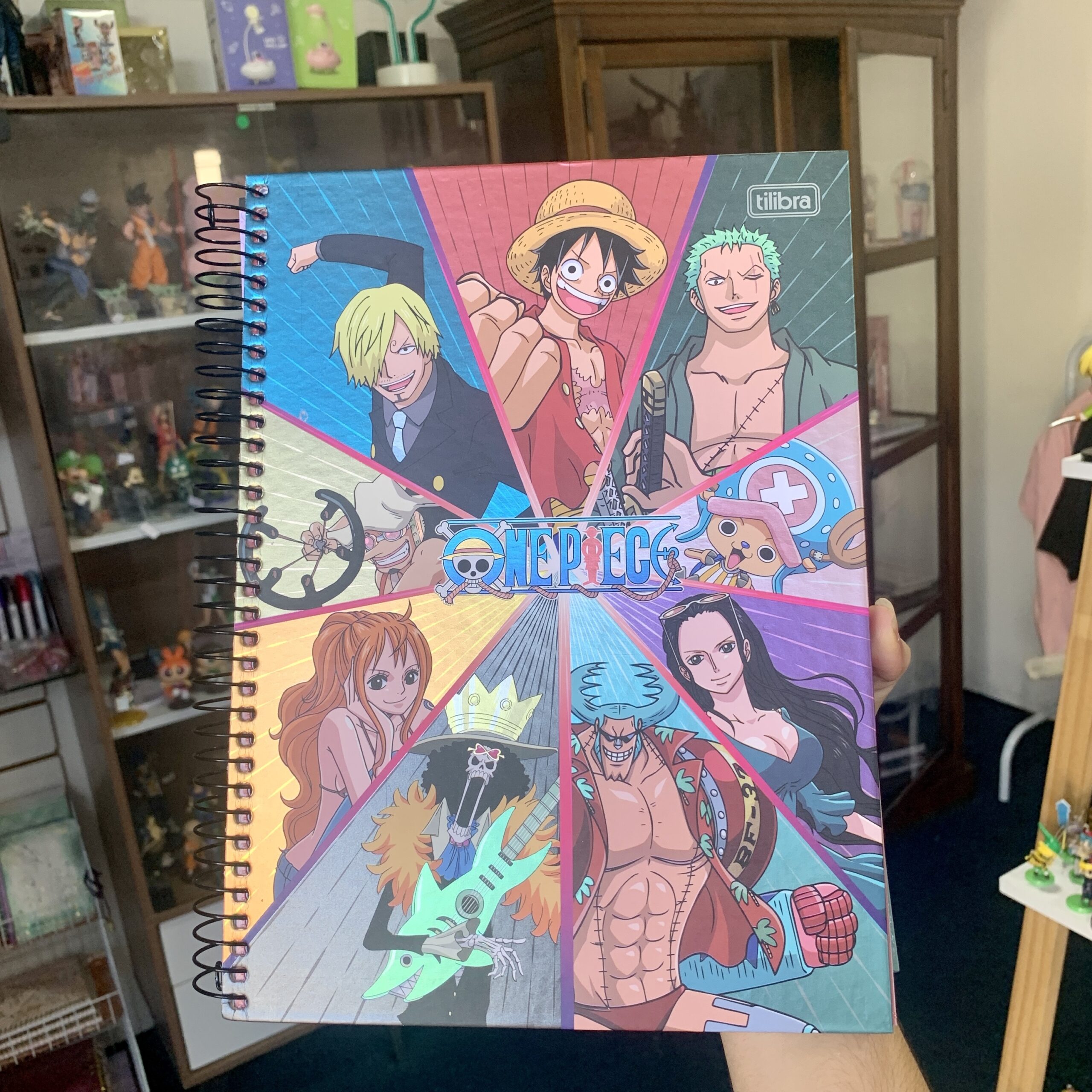Caderno Universitário One Piece 10 materias