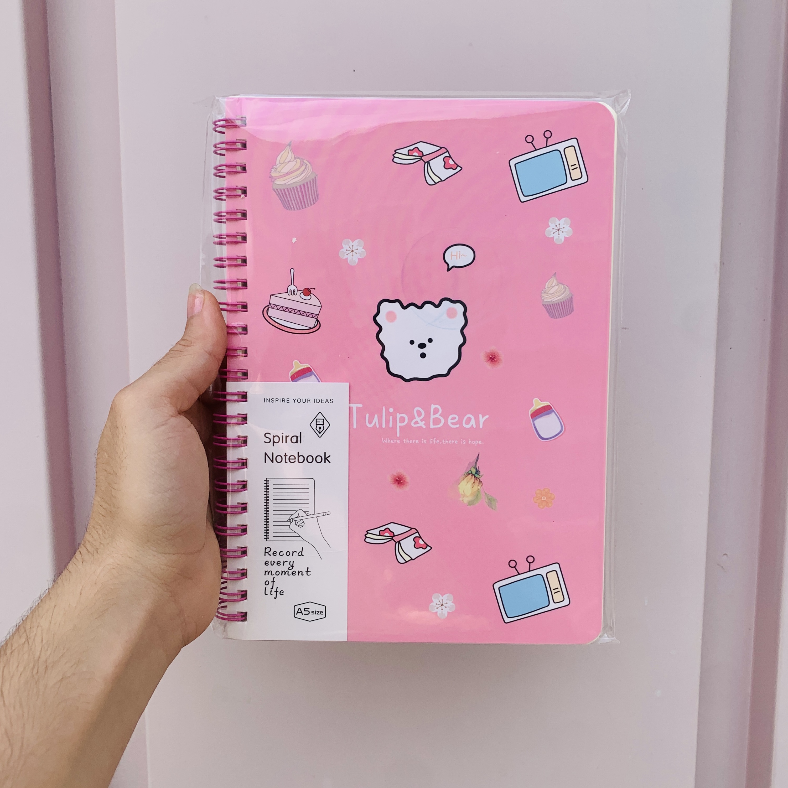 Caderno ursinho